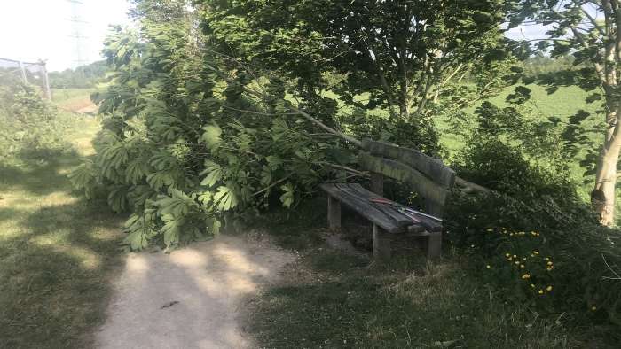 pic3